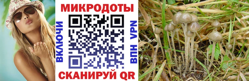 Галлюциногенные грибы мицелий  где можно купить   Белоярский 